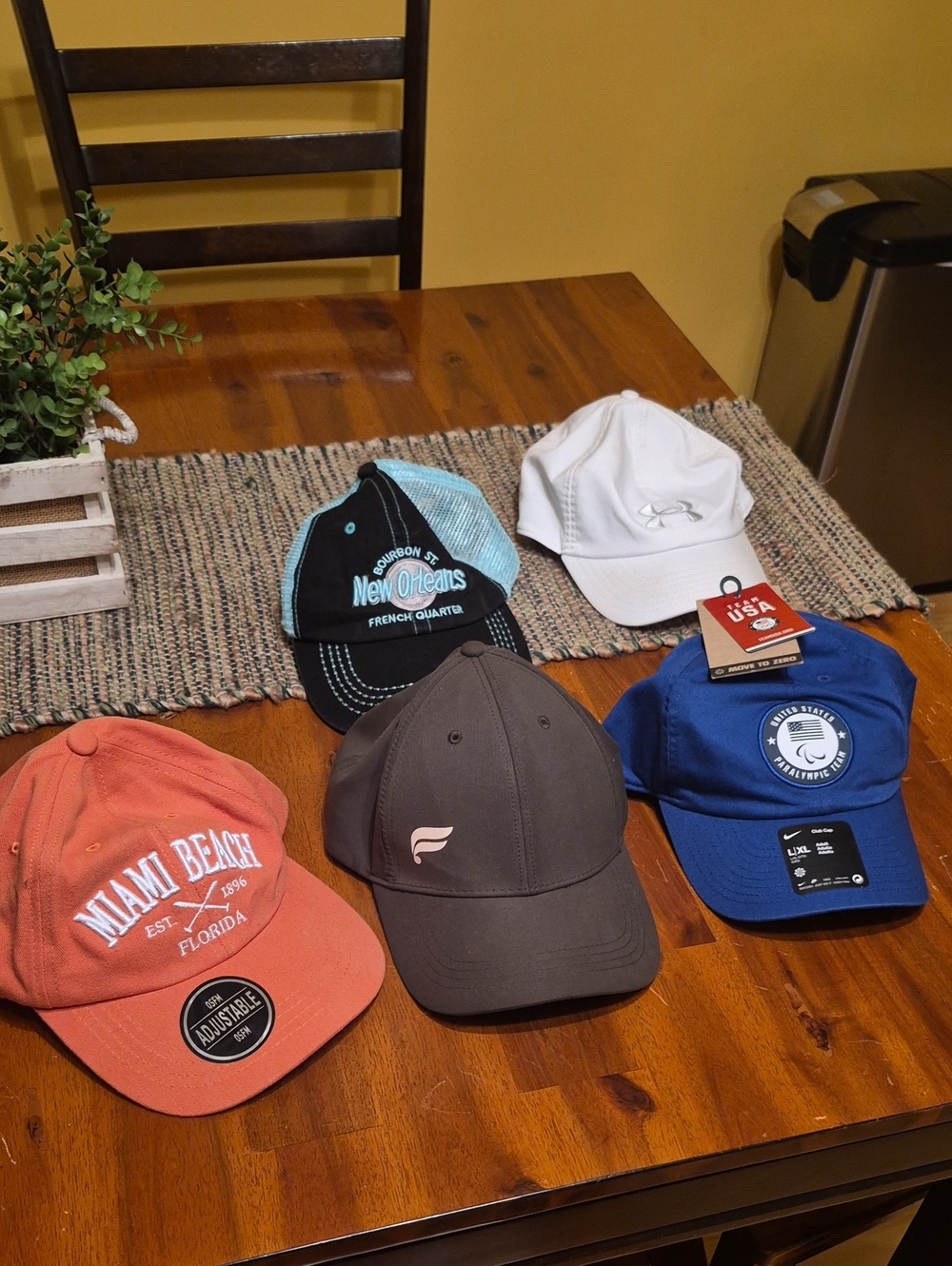 Assorted Casual Baseball Caps Lot